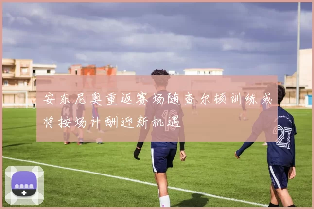 安东尼奥重返赛场随查尔顿训练或将按场计酬迎新机遇